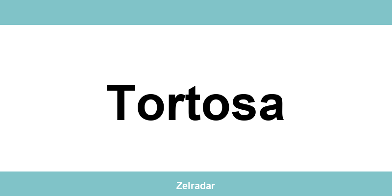 Teléfono de oficina de Zeleris en Tortosa